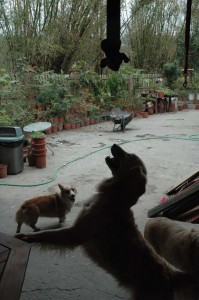 1380944987-1072474088