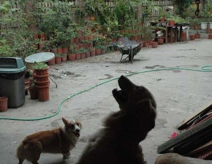 1380944987-1072474088