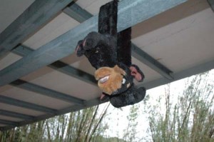 1380944988-2635203769