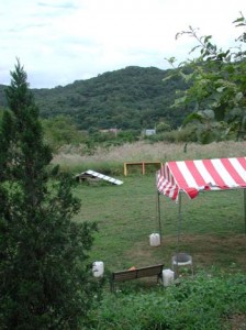 1380944999-1020262516