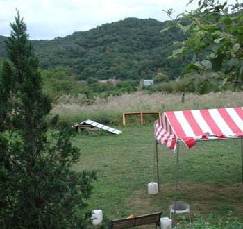 1380944999-1020262516