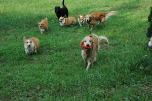 1380945000-3443216992