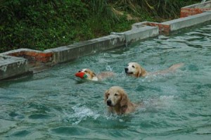 1380945000-400997546