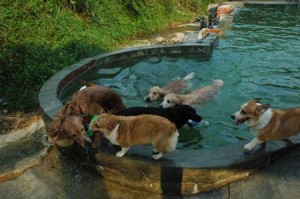 1380945001-575820014