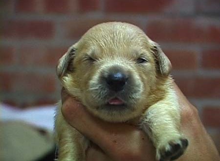 1380945004-429437159