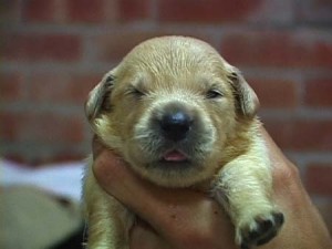 1380945004-429437159