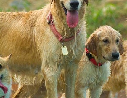 1380945005-2442482093