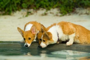 1380945005-2575880909