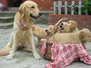 1380945005-3037778210