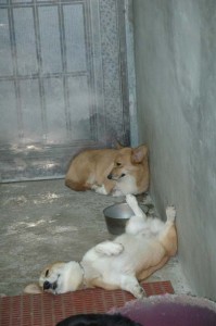 1380945019-2963543515