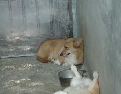 1380945019-2963543515