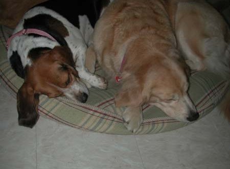 1380945019-3028052927