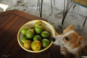 1380945022-1903067312