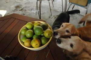 1380945022-2239289798