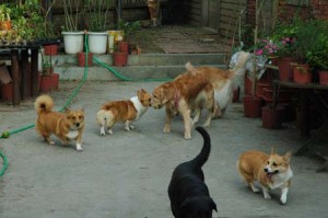 1380945022-2925658975