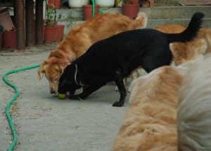 1380945022-835900317