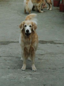 1380945023-1517043265