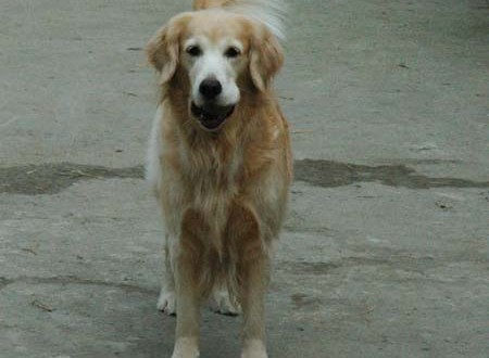 1380945023-1517043265