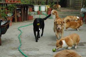 1380945023-3773236954