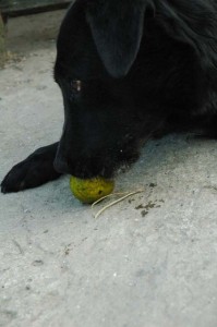 1380945024-4033610830