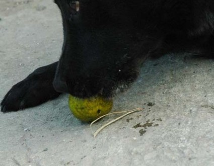 1380945024-4033610830