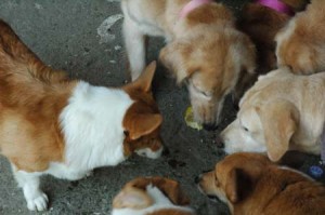 1380945025-1366339550