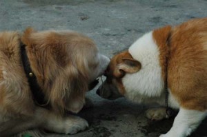 1380945025-2263593720