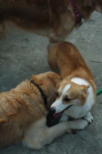 1380945025-766893661