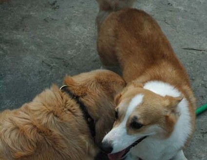 1380945025-766893661