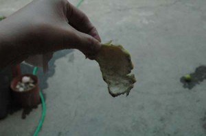 1380945026-2157572343