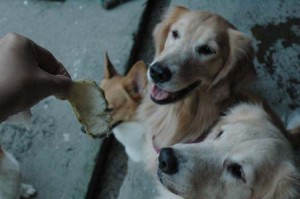 1380945027-2942688843