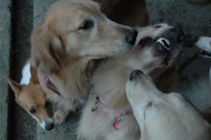 1380945027-846132650