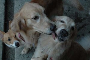 1380945028-4130391742