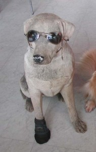 1380945043-1831042376