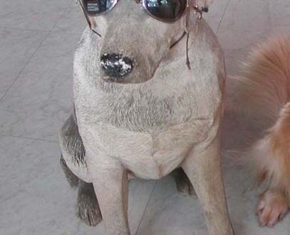 1380945043-1831042376