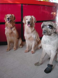 1380945043-2484582837