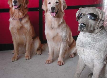 1380945043-2484582837