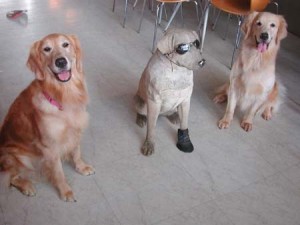 1380945044-160038707