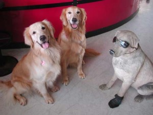 1380945044-3911472757