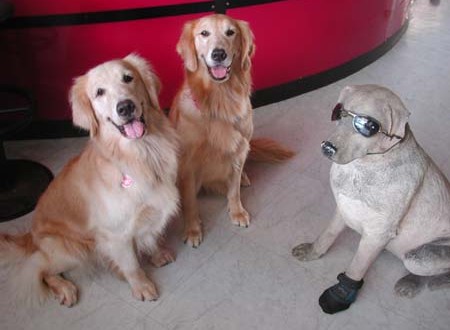 1380945044-3911472757