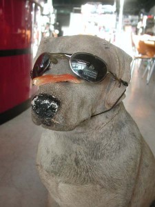 1380945045-2474087205