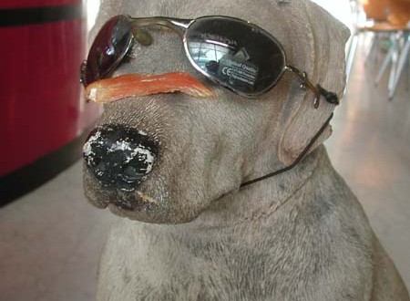 1380945045-2474087205