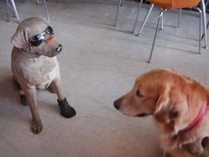 1380945045-4260856594