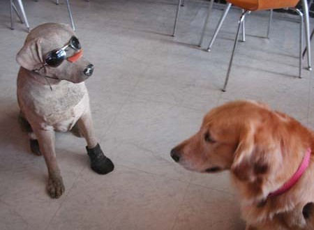 1380945045-4260856594