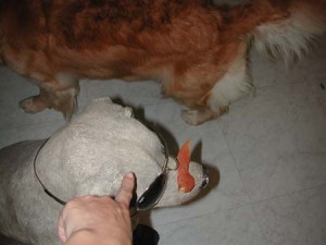 1380945046-4176735890