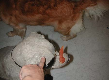 1380945046-4176735890