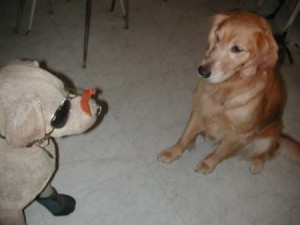 1380945046-443098908