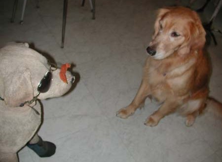 1380945046-443098908