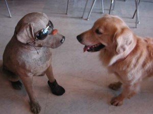 1380945047-1901943558