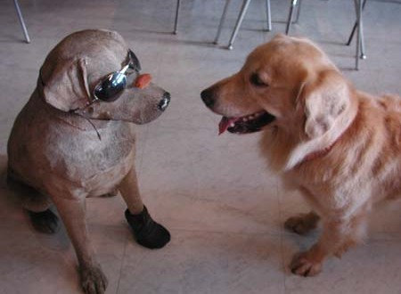 1380945047-1901943558